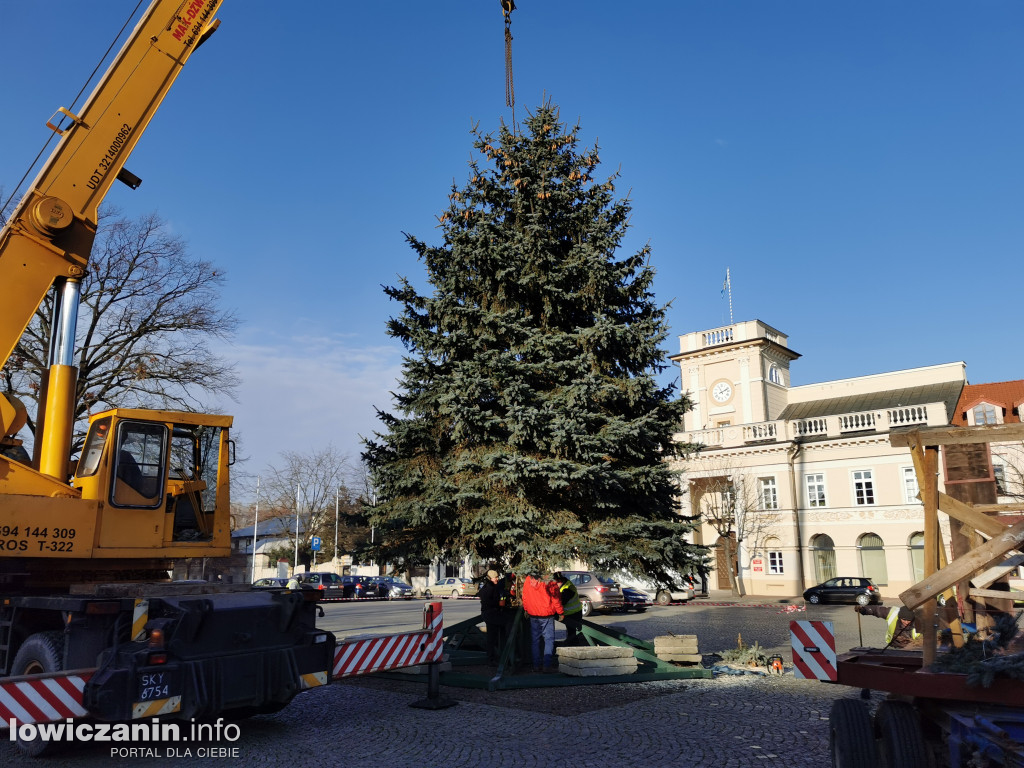 Choinka na Starym Rynku już jest!