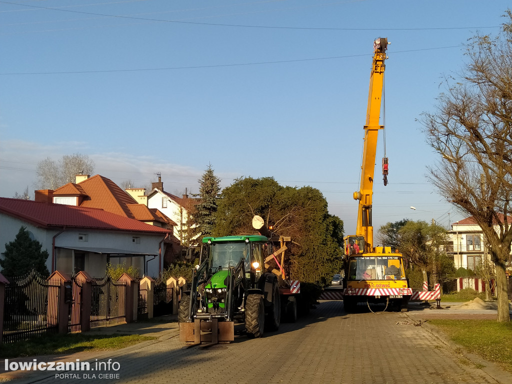 Na Nowym Rynku choinka też już stoi