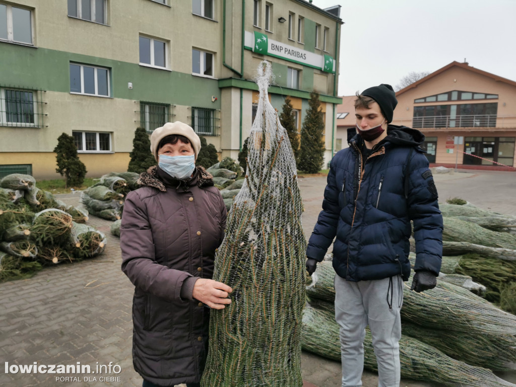 Powiatowa akcja Eko-choinka