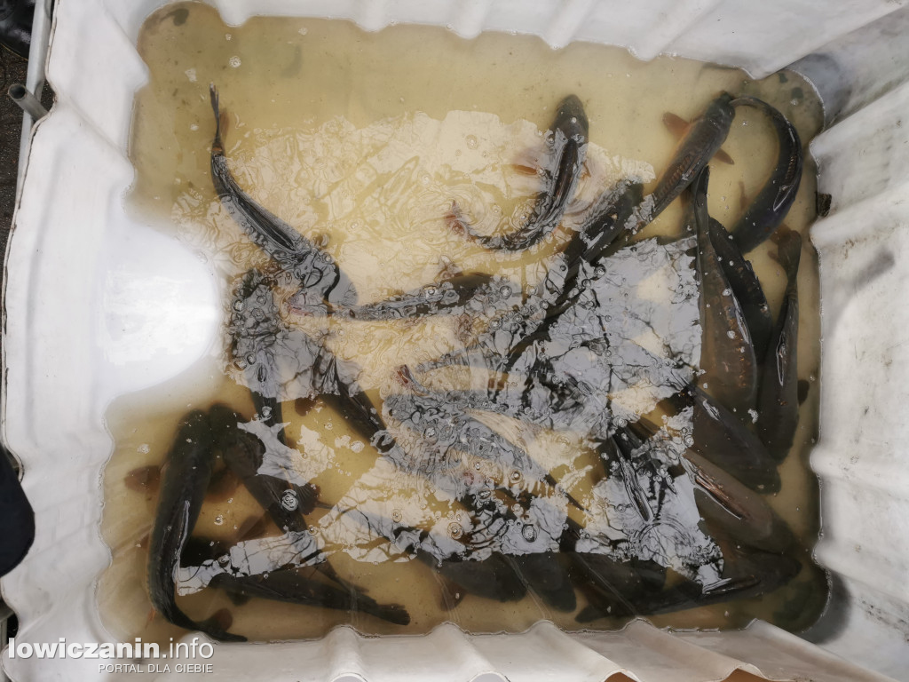 Przed świętami tłumy na targowisku
