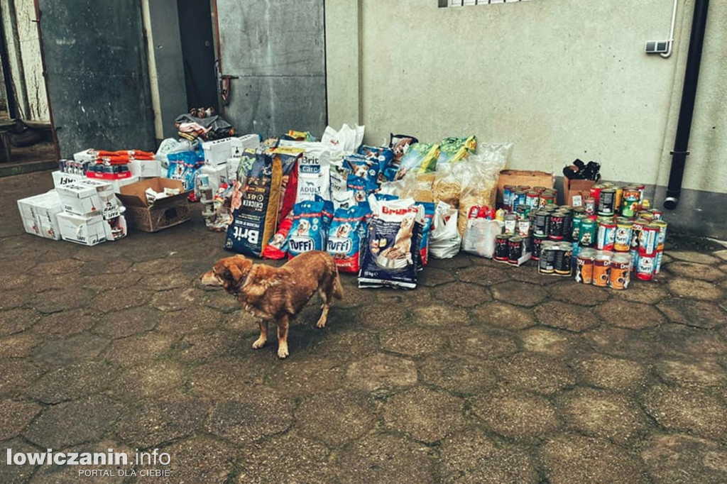 Finał zbiórki dla schroniska
