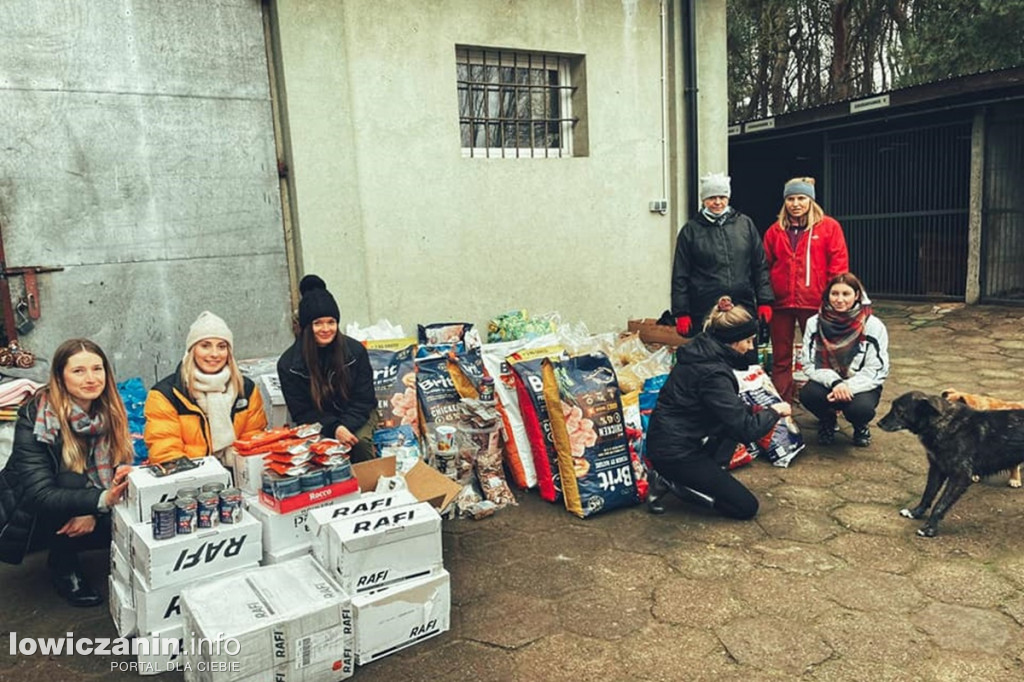 Finał zbiórki dla schroniska