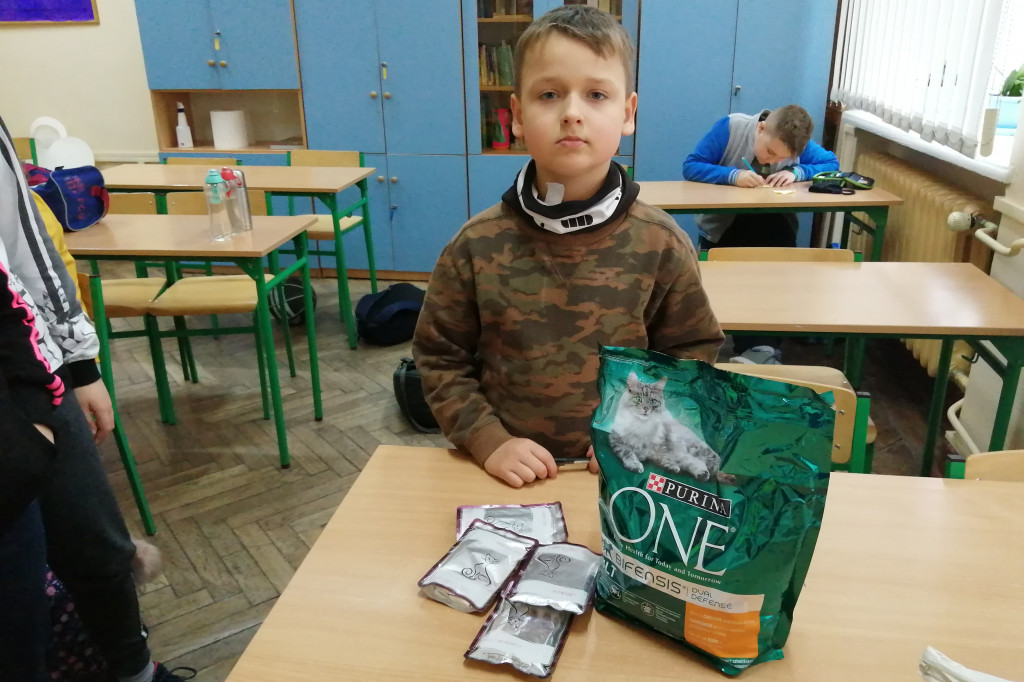 Akcja a okazji Dnia Kota w SP 2 w Łowiczu
