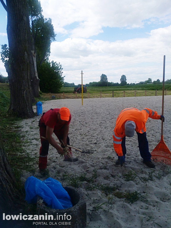 Na plażę nad Bzurą wróciły palmy!