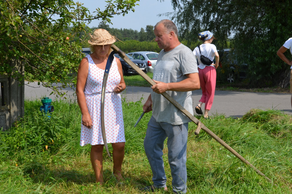 Sianokosy w Albinowie