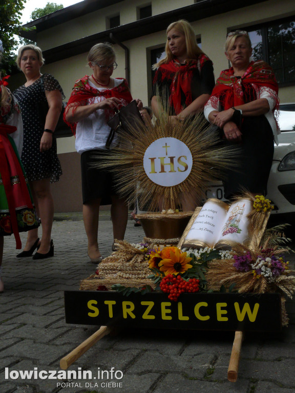 Dziękowali za plony w łowickiej katedrze