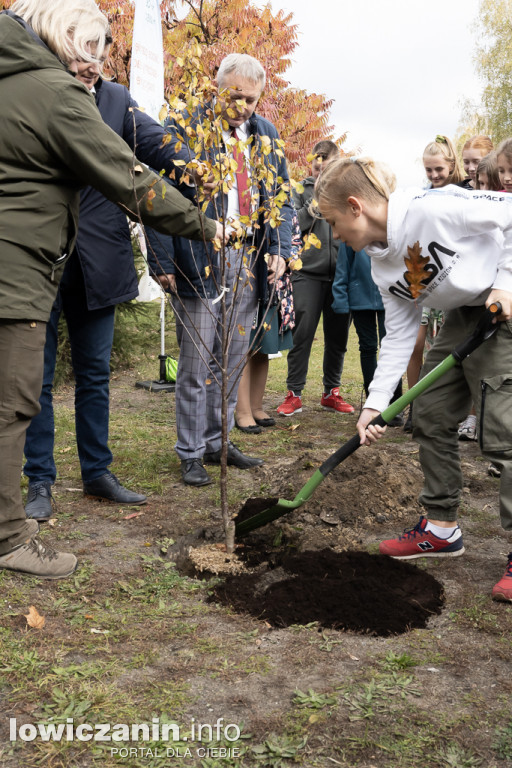 Sadzenie drzew przy szkołach w gminie Nieborów