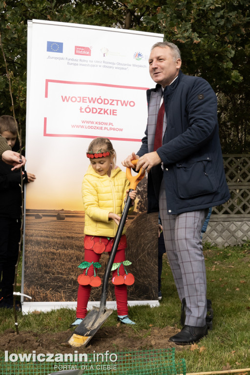 Sadzenie drzew przy szkołach w gminie Nieborów