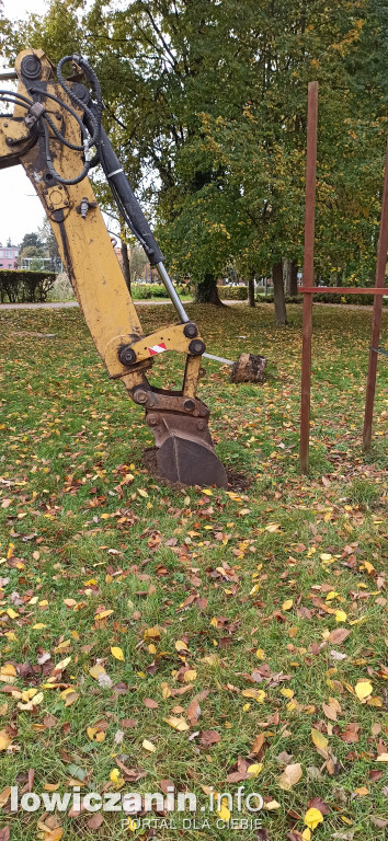 Stary, nowy Dąb Niepodległości