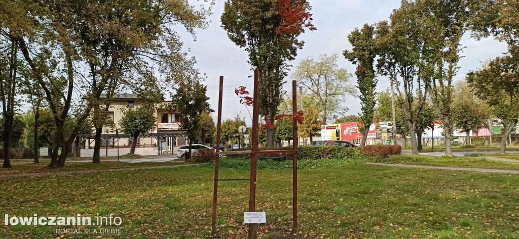 Stary, nowy Dąb Niepodległości