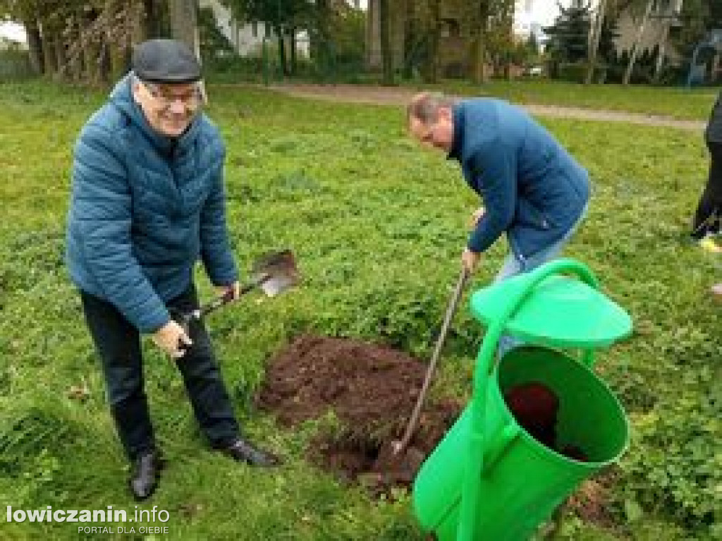 Sadzenie drzew na placu zabaw przy ul. Włókienniczej