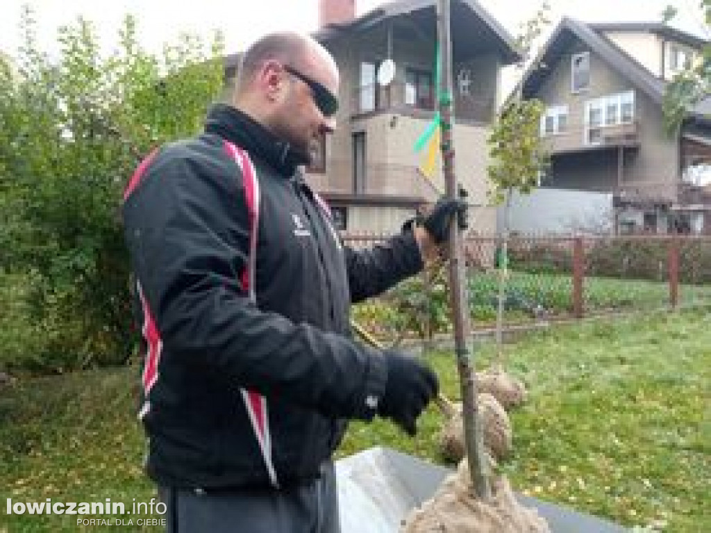 Sadzenie drzew na placu zabaw przy ul. Włókienniczej