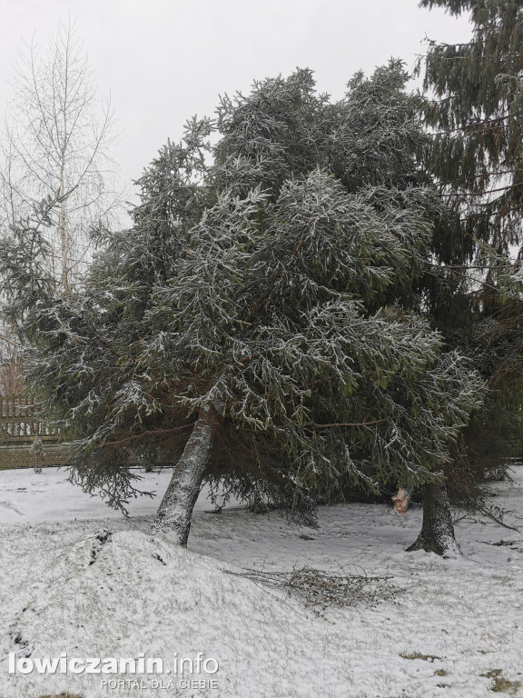 Skutki silnego wiatru w powiecie łowickim
