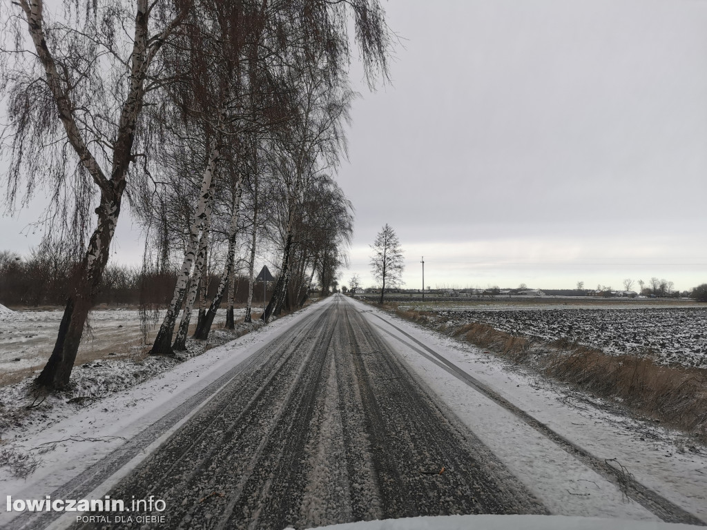 Skutki silnego wiatru w powiecie łowickim