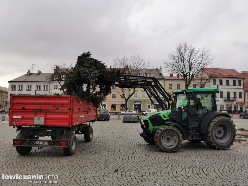 Sprzątanie choinek w Łowiczu