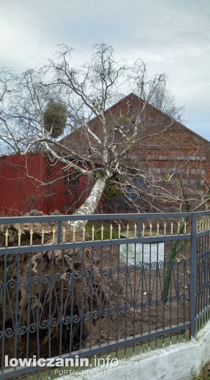 Zniszczenia w gminie Chąśno po nawałnicy z 17.02