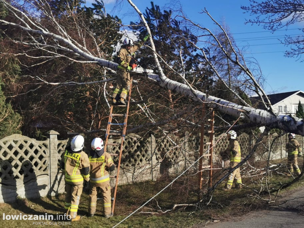 Ponad 80 interwencji straży w powiecie łowickim