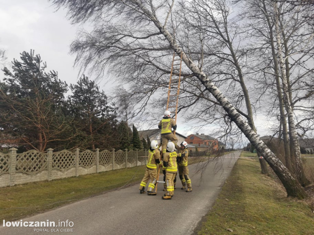 Ponad 80 interwencji straży w powiecie łowickim
