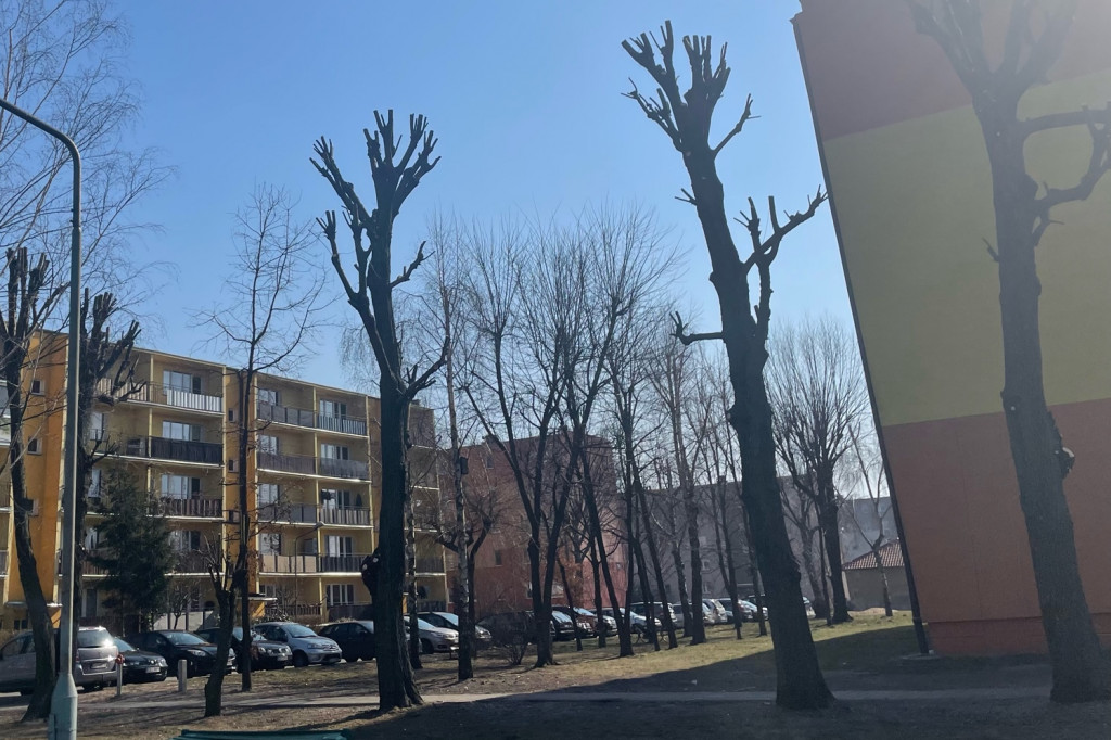 Pielęgnacja drzew na os. Bratkowice