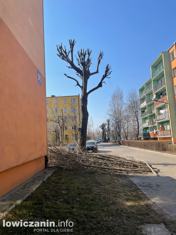 Pielęgnacja drzew na os. Bratkowice