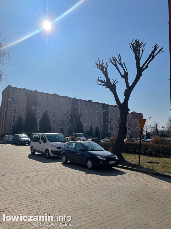 Pielęgnacja drzew na os. Bratkowice