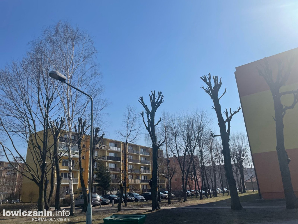 Pielęgnacja drzew na os. Bratkowice