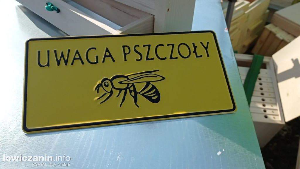 ,,Wiosna w pasiece\