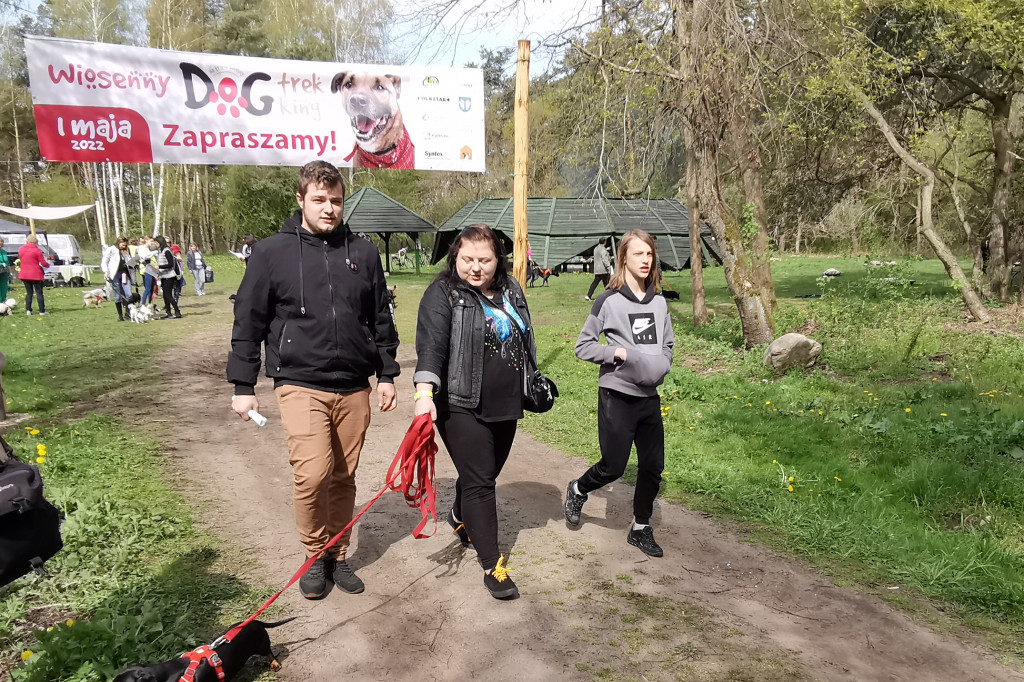 Łowicz. Dogtrekking w Lesie Miejskim