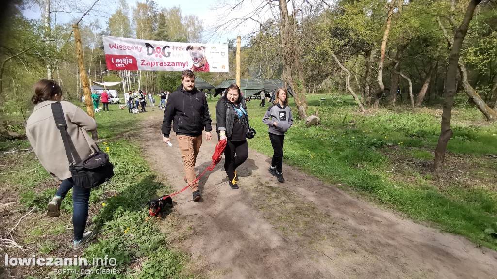 Łowicz. Dogtrekking w Lesie Miejskim