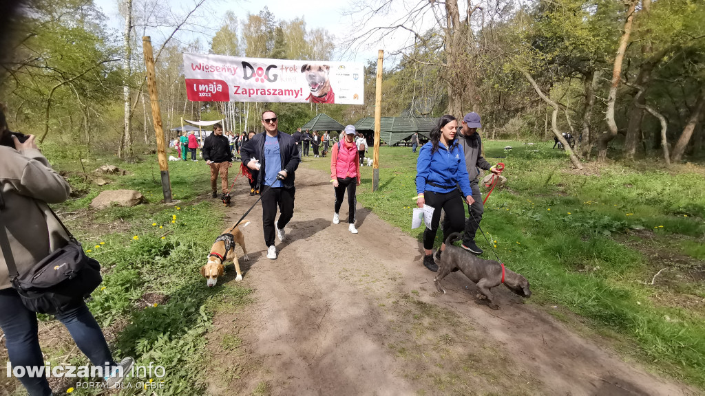 Łowicz. Dogtrekking w Lesie Miejskim