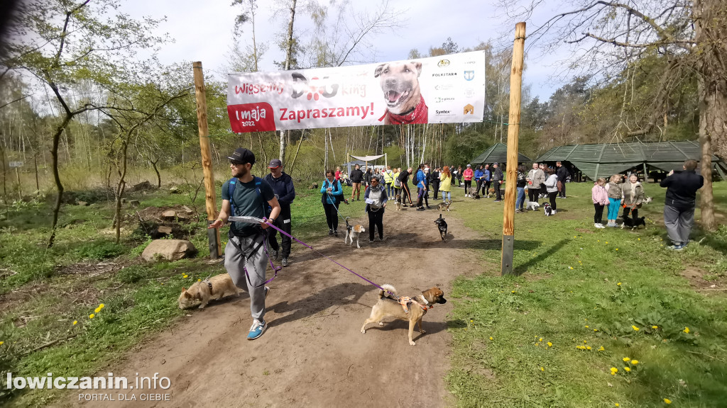 Łowicz. Dogtrekking w Lesie Miejskim