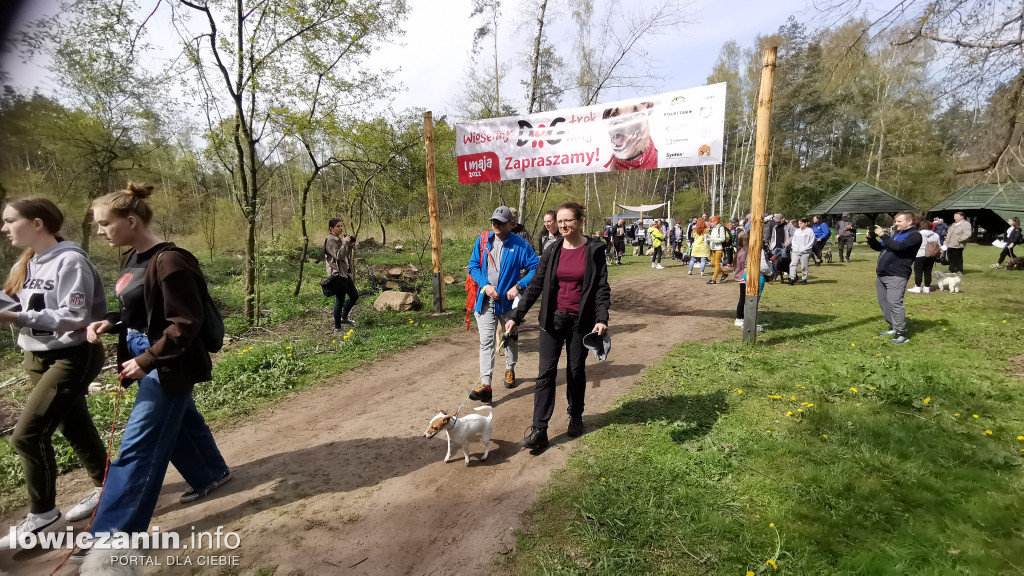 Łowicz. Dogtrekking w Lesie Miejskim