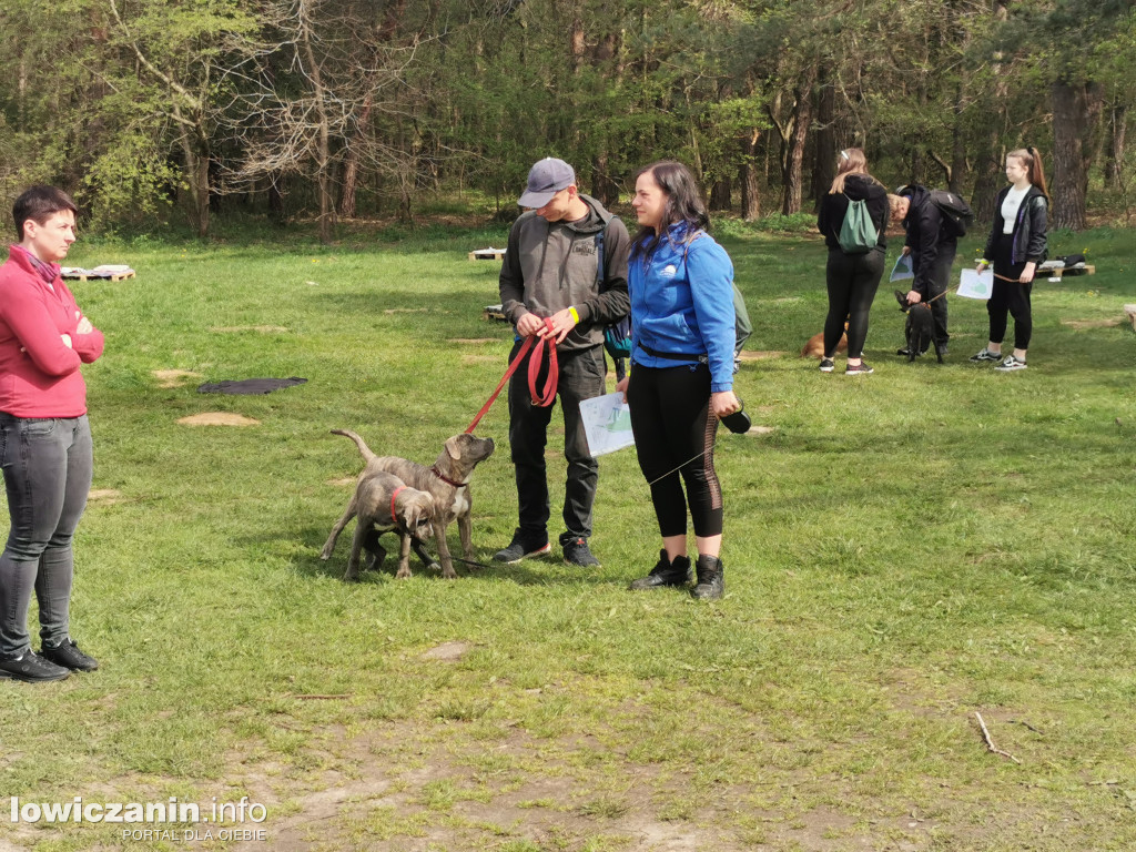 Łowicz. Dogtrekking w Lesie Miejskim