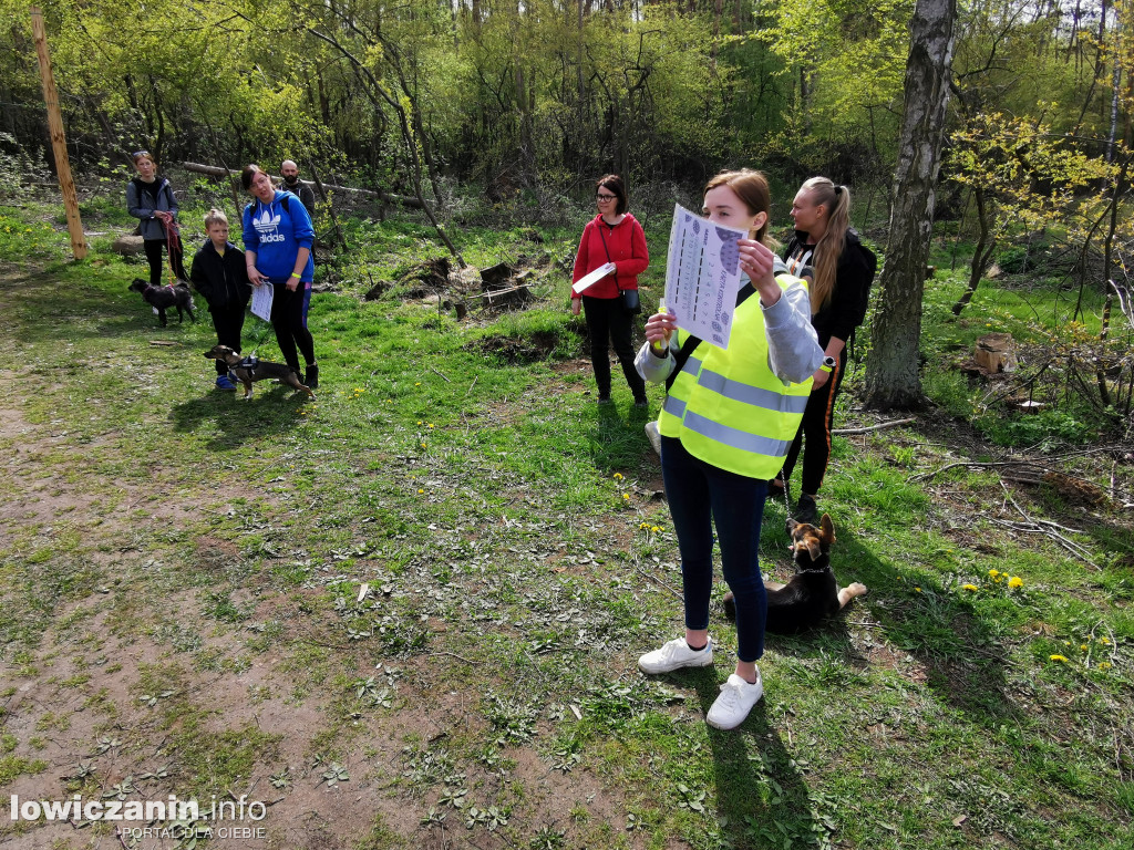 Łowicz. Dogtrekking w Lesie Miejskim