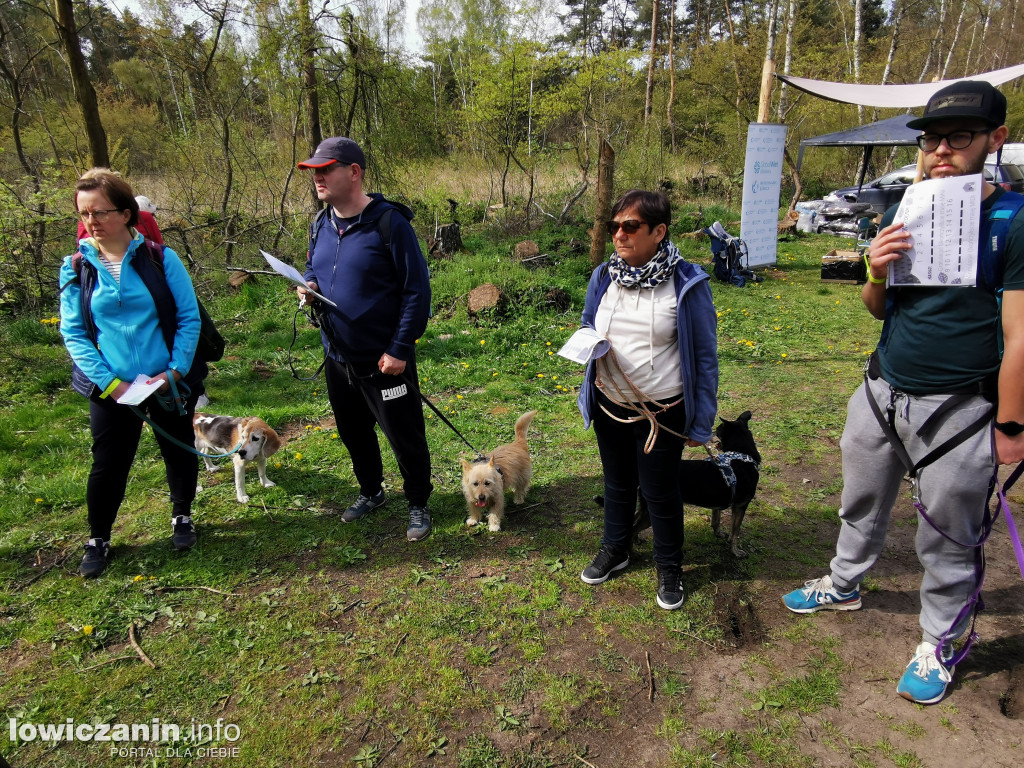 Łowicz. Dogtrekking w Lesie Miejskim