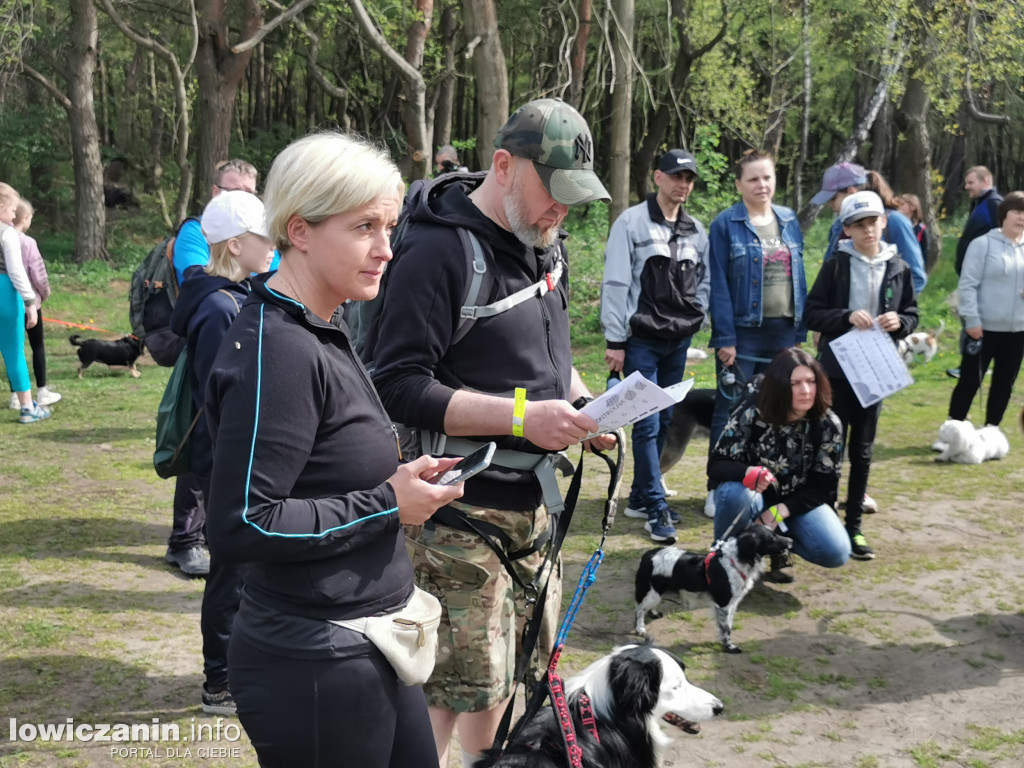 Łowicz. Dogtrekking w Lesie Miejskim
