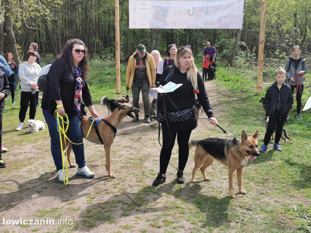Łowicz. Dogtrekking w Lesie Miejskim