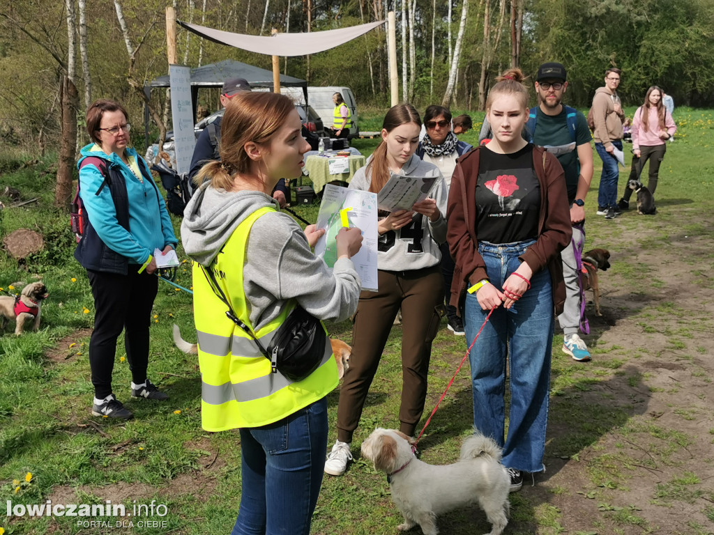 Łowicz. Dogtrekking w Lesie Miejskim