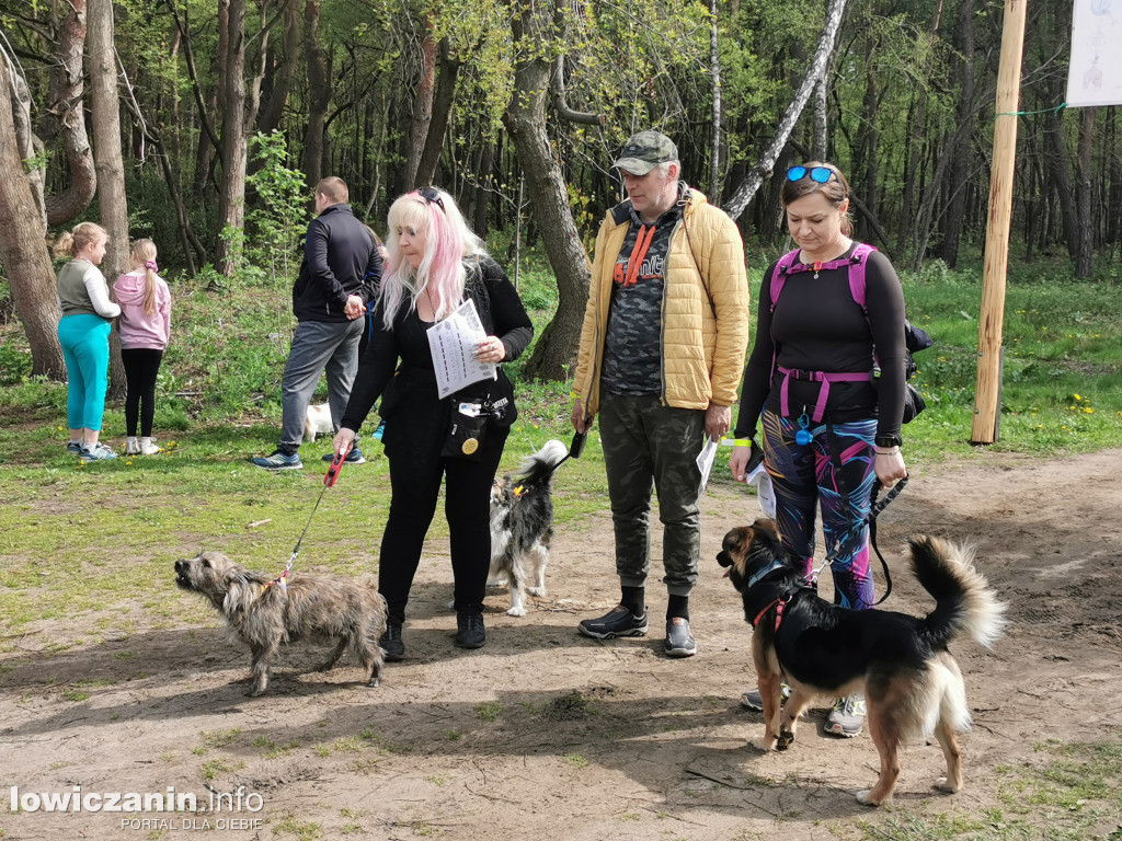 Łowicz. Dogtrekking w Lesie Miejskim