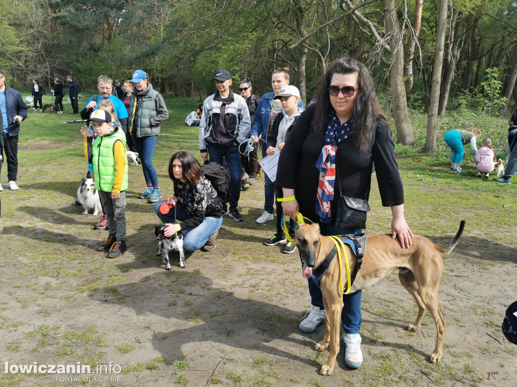 Łowicz. Dogtrekking w Lesie Miejskim