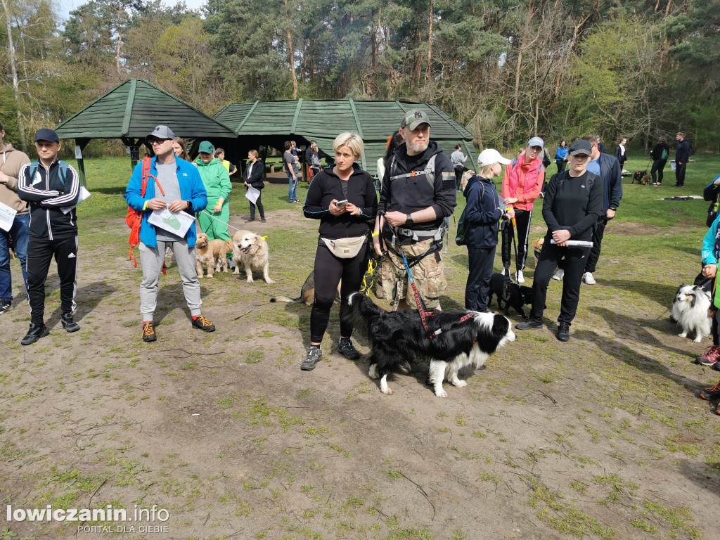 Łowicz. Dogtrekking w Lesie Miejskim
