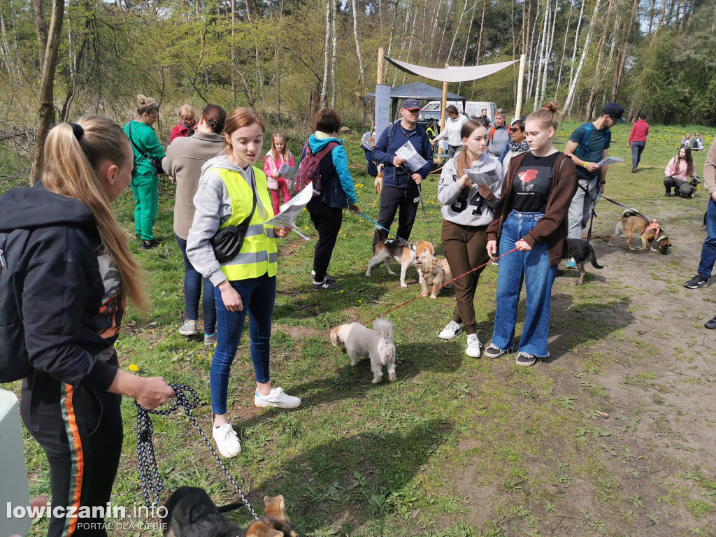 Łowicz. Dogtrekking w Lesie Miejskim