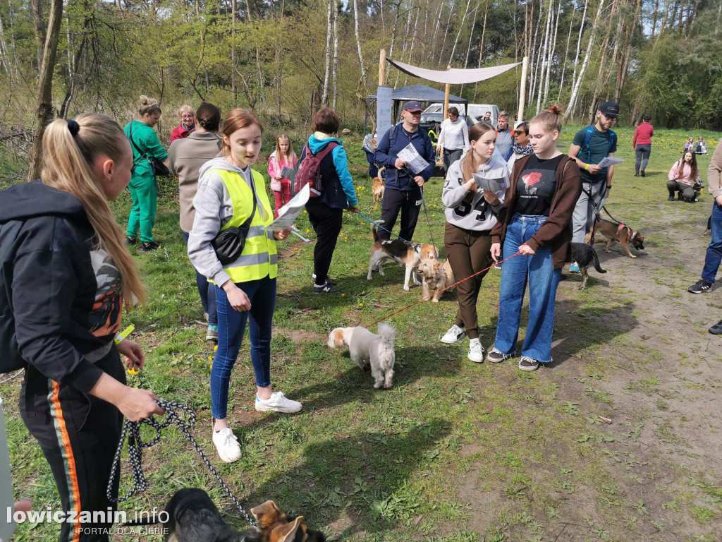 Łowicz. Dogtrekking w Lesie Miejskim