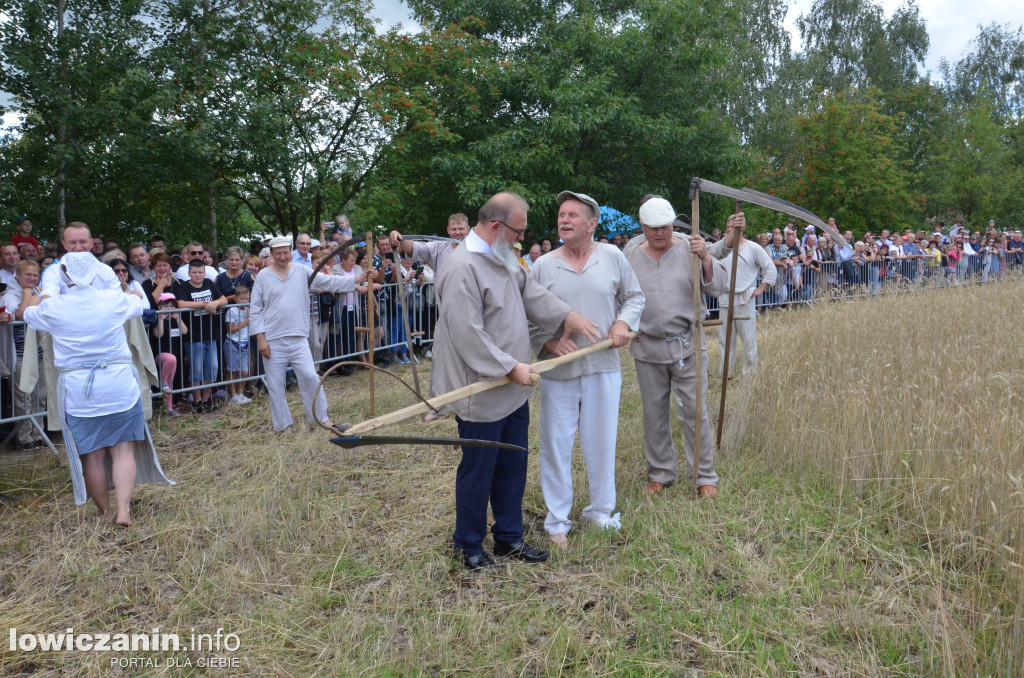 Żniwa Łowickie w skansenie w Maurzycach A.D. 2022