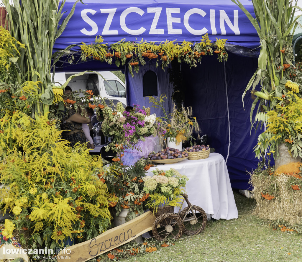 Gminne Święto Plonów w Dmosinie.