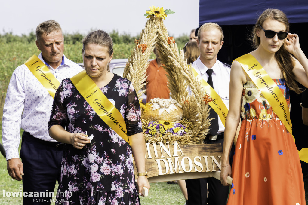 Gminne Święto Plonów w Dmosinie.