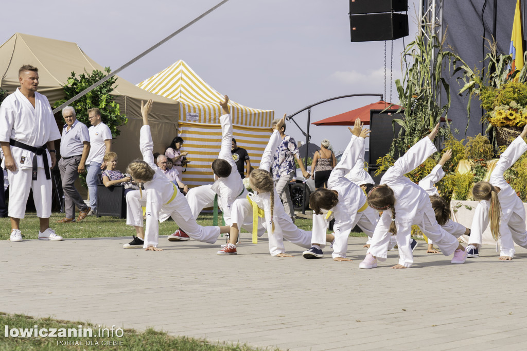 Gminne Święto Plonów w Dmosinie.