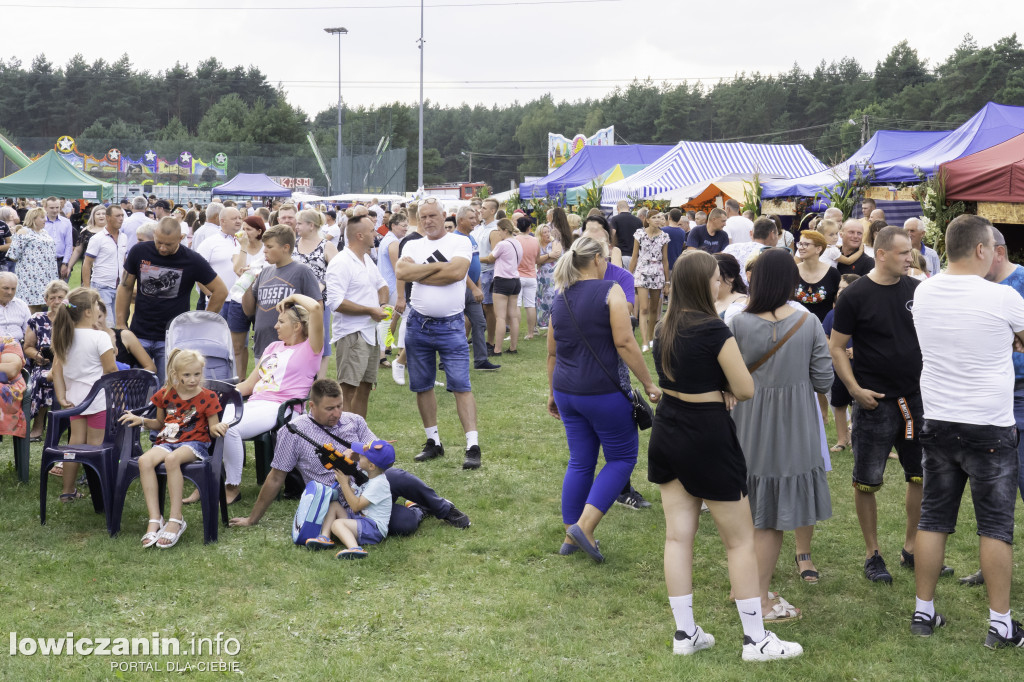 Gminne Święto Plonów w Dmosinie.