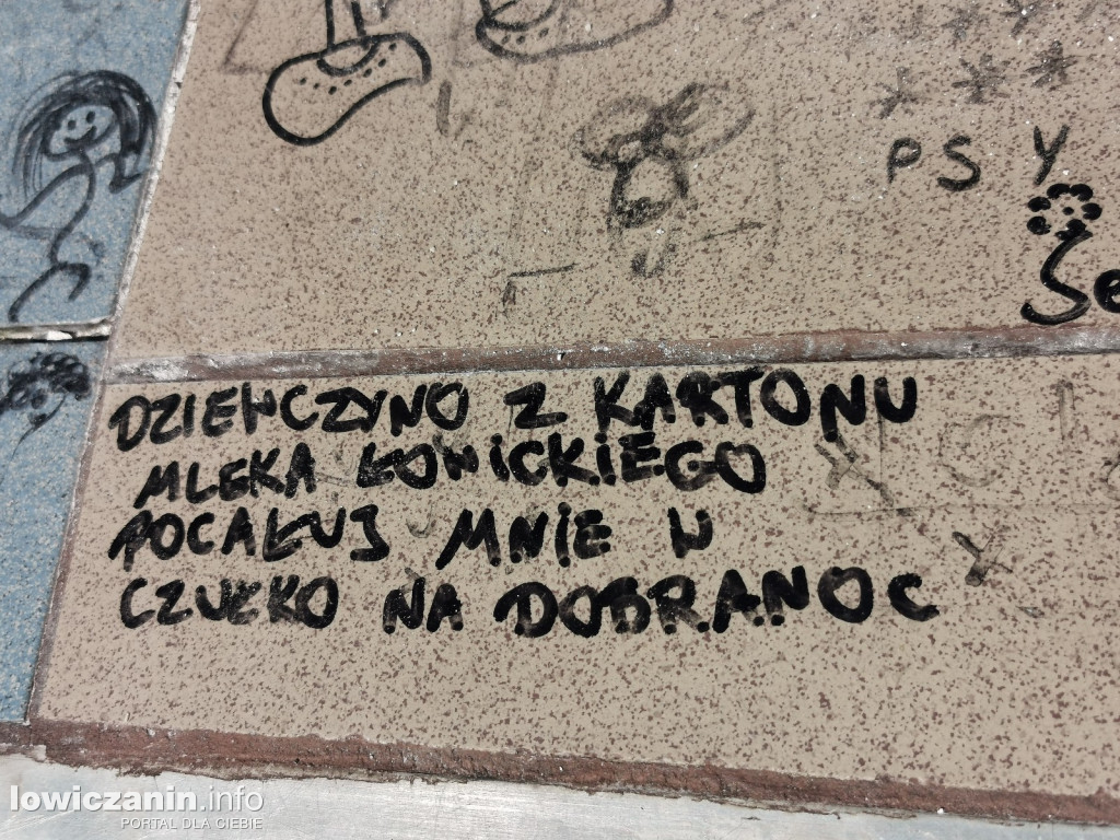 Łowicz. Wandalizm na placach zabaw w parku Błonie