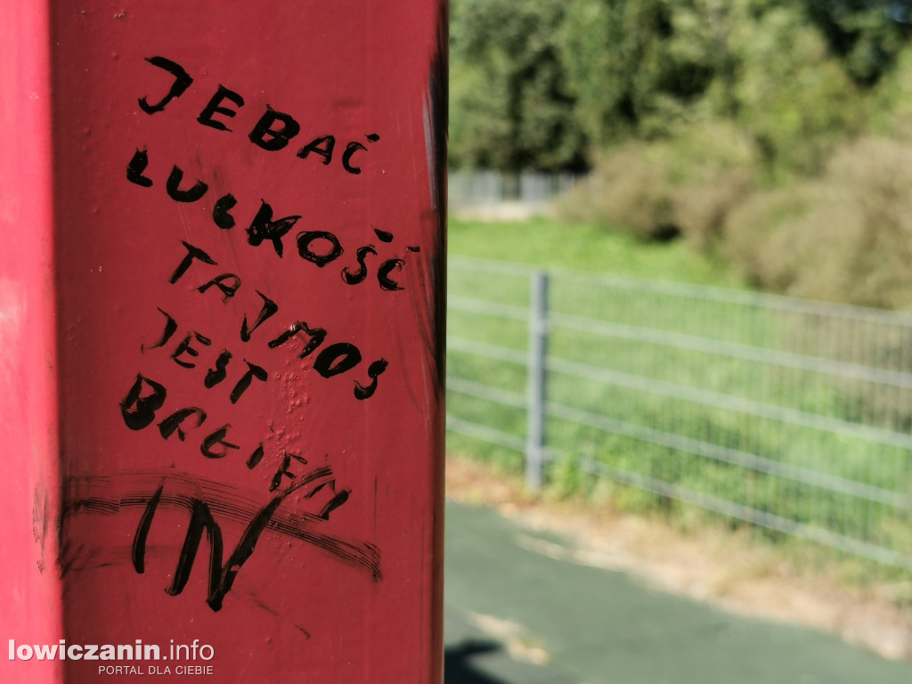 Łowicz. Wandalizm na placach zabaw w parku Błonie